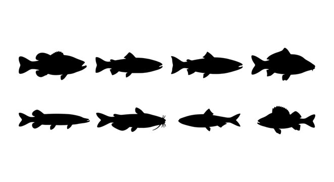Diverse Fish Silhouettes Collection, Aquatic Animal Icons, Seafood Vector Graphics, Marine Life Set, Underwater Creatures Design Elements
