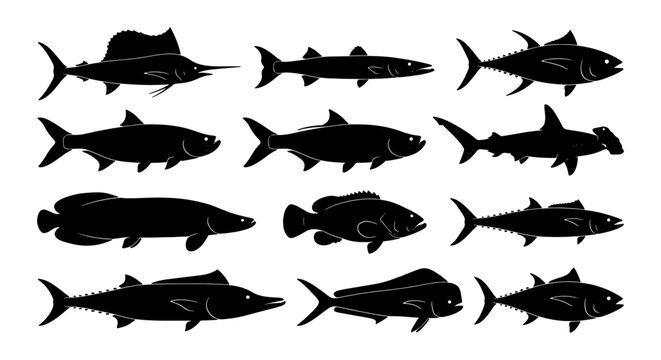 Diverse Marine Life Vector Silhouettes: 12 Aquatic Animals, Ocean Fauna Collection for Seafood, Fishing, and Nautical Designs