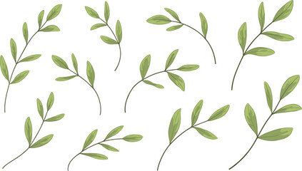 Minimal green leafy branches vector collection, elegant botanical foliage illustration set © Sayed Creative