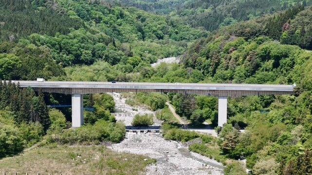 Bridge spans lush green valley below. Vehicles glide across concrete span with calm grace. Riverbed flows quietly beneath the bridge. Sunlit trees frame the scene with vibrant life
