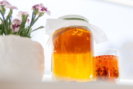 Closeup of a jar of homemade kombucha with effervescent amber liquid beside a potted flower for kitchen background and beverage packaging design