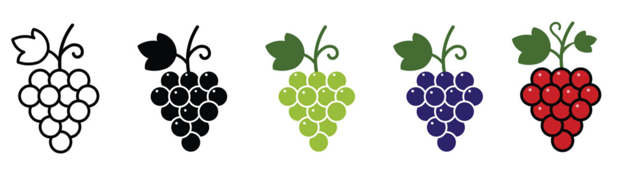 Grape and leaves icon set for Food and Beverage design. Colorful grape icon pack with black, purple, green and red grapes.