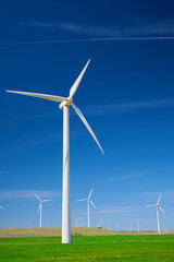 Fototapeta premium Windmills for renewable electrical energy production