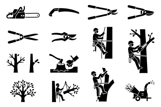Tree maintenance tools and arborist silhouettes in action.