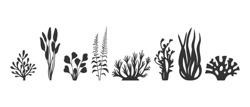set of various seaweed and coral bush silhouettes, isolated on a white background, designed for logos, minimalist fabric prints, and aquarium branding.