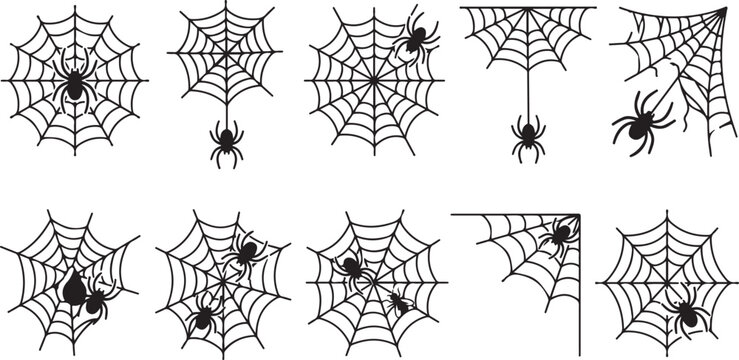 Set of black line art spider webs with spiders hanging and crawling on transparent checkered background.