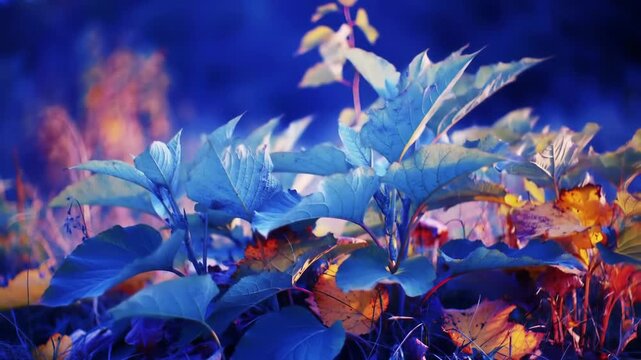 Close-up of vibrant blue leaves and colorful foliage creates a captivating nature scene, showcasing the beauty