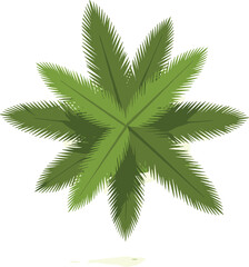 Aerial view of a palm tree with distinctive green fronds on a transparent background. © Emongrapic