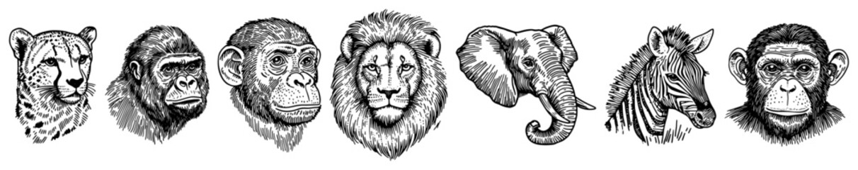Obraz premium Wild safari animal heads set including elephant and lion in hand drawn engraving style