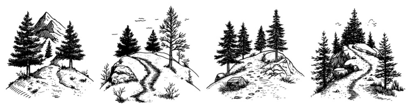 Forest landscape with pine trees and mountain paths in vintage engraving style