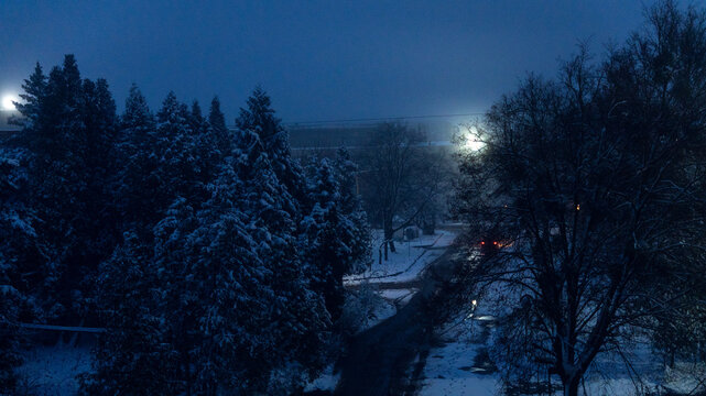 winter evening, snow-covered trees and a car with red taillights
