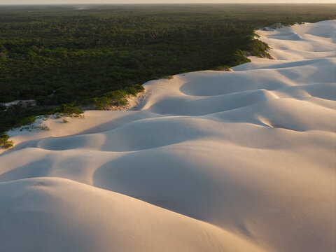 Aerial view of Parque Nacional dos Lencois Maranhenses showing rolling white sand dunes bordering a lush green forest under soft light Lencois Maranhenses, MA, Brazil.