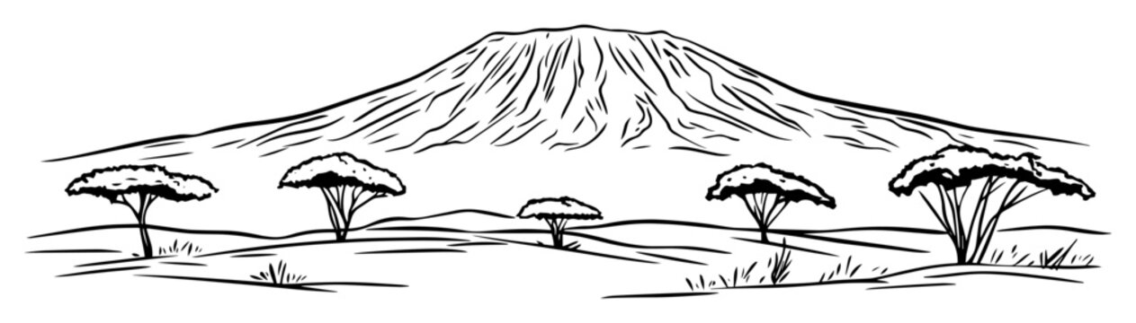 mt kilimanjaro savanna landscape vector sketch