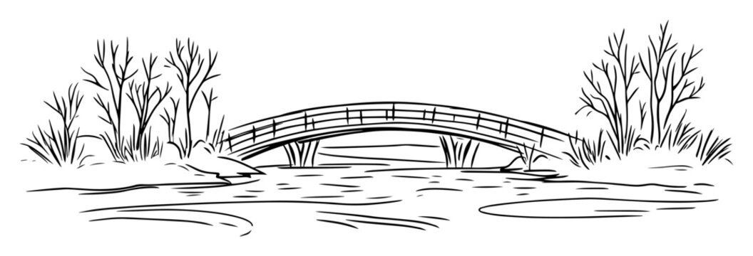 japanese garden arched bridge vector sketch