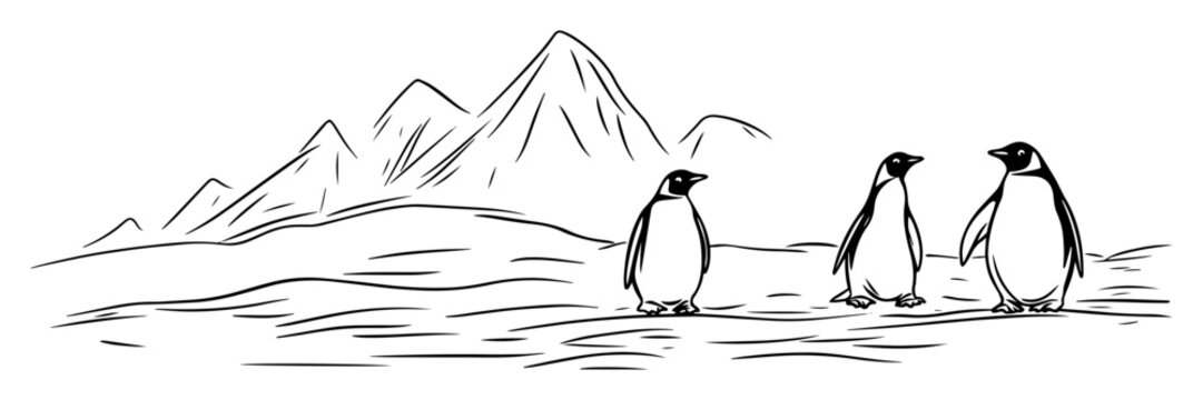 penguins antarctica ice landscape sketch vector