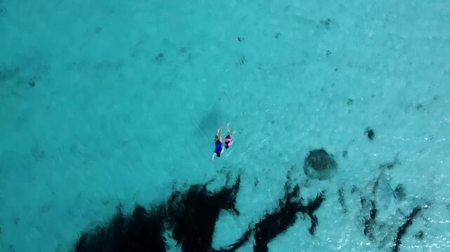 Drone rotating upwards with top down view of two people snorkling in clear blue shallow water