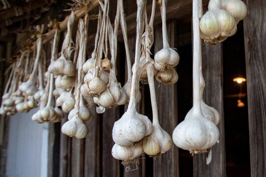 Close-up of garlic hanging outside wooden farmhouse