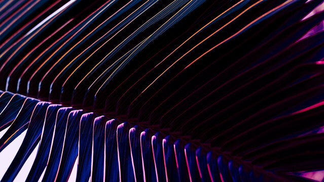 Abstract background, Tropical palm leaf texture with cyberpunk neon glow with dark shadows.