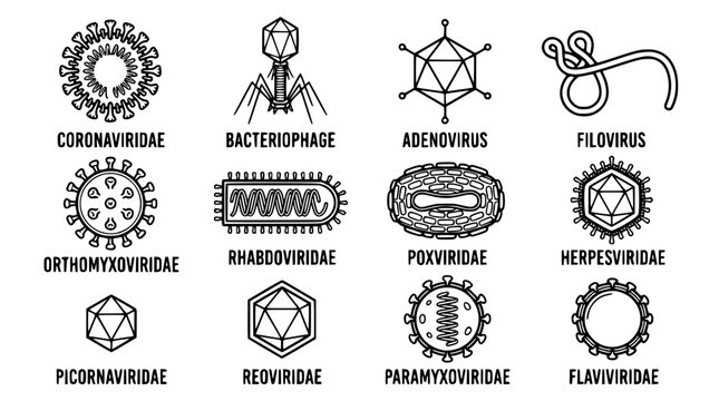 Various virus and bacteria illustrations in a graphic design