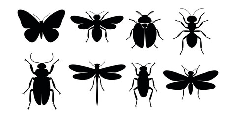 Collection of black insect silhouettes including butterfly beetle ant dragonfly butterfly silhouette in white background © Creative Tania