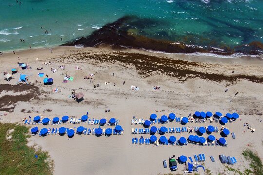 Aerial view of Singer Island beach featuring rows of blue umbrellas, people relaxing on the sand, and turquoise ocean water with dark seaweed patches in Riviera Beach, Florida, United States.