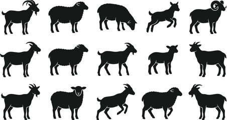 Fototapeta premium Black silhouettes of goats and sheep in various poses, standing on white background