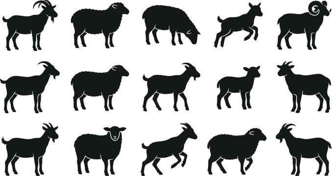 Black silhouettes of goats and sheep in various poses, standing on white background