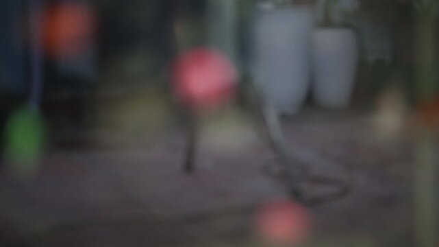 Blurred background, fish swimming