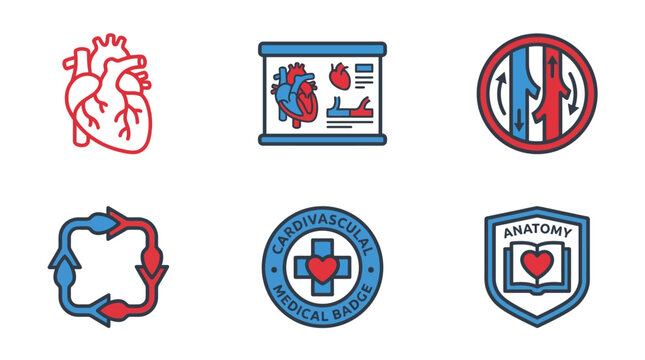 A comprehensive set of modern, linear-style medical and anatomical icons, primarily focusing on the human heart, vascular system, and related medical concepts in a flat, colorful graphic arr