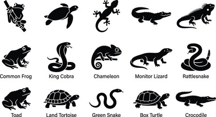 Black silhouettes of reptiles and amphibians including snakes, lizards, frogs, and turtles © Graphic Shops