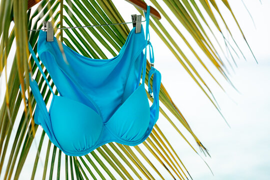 A bright blue bikini swimsuit hangs from a clothesline, suspended before a palm frond, suggesting a relaxed beach vacation, summer escape. Holiday, vacation.
