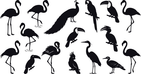 Black silhouettes of various tropical birds, including flamingos, toucans, and parrots bird silhouettes © Graphic Shops