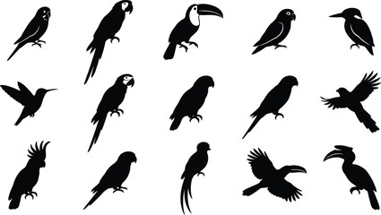 Black silhouettes of various tropical birds, including parrots, toucans, and cockatoos, on white background © Graphic Shops