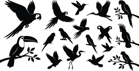 Obraz premium Black silhouettes of various tropical birds, including toucans and parrots, on white background, bird silhouettes