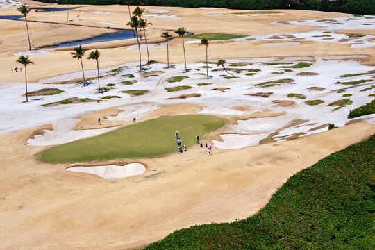 Aerial view of golfers playing on a lush green putting surface surrounded by numerous white sand bunkers and tall palm trees Juno Beach, Florida, United States.