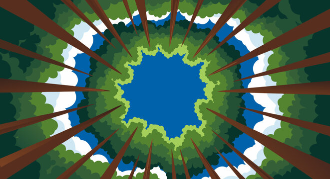 Looking up through the canopy of a forest towards the bright blue sky, an abstract overhead view of trees