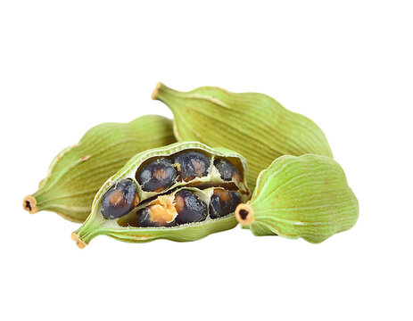 Fresh Green Cardamom Pods with Seeds Isolated on Transparent Background PNG	