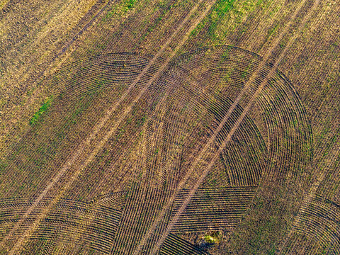 Aerial view of tractor tire tracks forming curved patterns on a harvested agricultural field in Taujenai, Vilnius County, Lithuania.