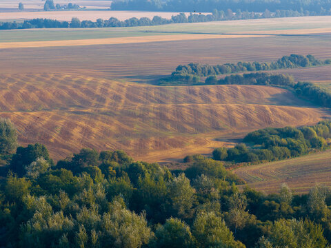 Aerial view of rolling agricultural fields with golden harvest patterns and lush green forests in Taujenai, Vilnius County, Lithuania.