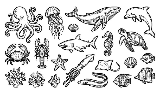 Black and white sea creature outline doodle vector set with hand drawn marine animals