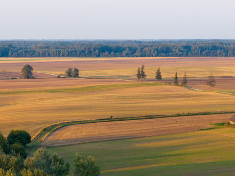 Aerial view of vast agricultural fields and rolling hills under warm golden hour light with a dense forest in the background Taujenai, Vilnius County, Lithuania.
