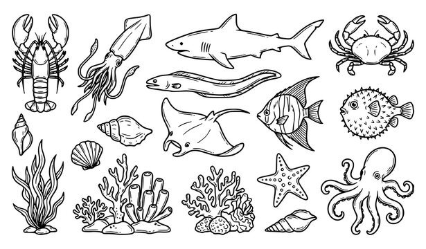 Monochrome sea life outline doodle vector set with hand drawn ocean creature illustrations