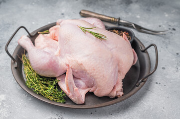 Raw whole chicken on a rustic metal tray with fresh rosemary, thyme, and peppercorns on a gray concrete background, ready for cooking. © Mironov