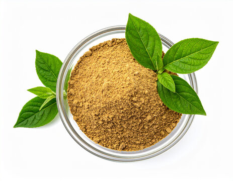 A top-down view shows a glass bowl filled with fine, brown Eurycoma longifolia extract powder, commonly known as Tongkat Ali. Fresh green leaves are arranged beneath the bowl, emphasizing the natural,