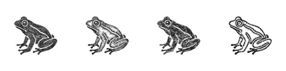 Fototapeta premium Sketch frog icon design set
