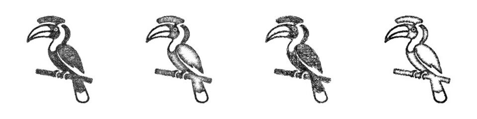 Sketch hornbill icon design set © David Zydd