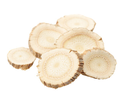 Freshly Sliced Raw Burdock Root Pieces on Transparent Background PNG	