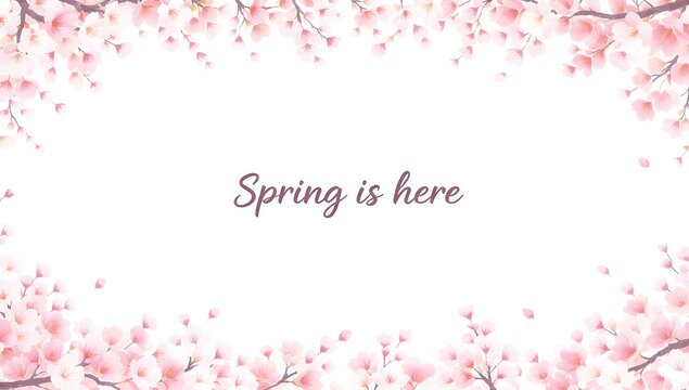 Watercolor illustration of abundant pink cherry blossoms and falling petals framing a white background with purple script reading spring is here
