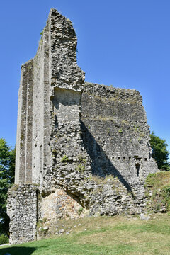 Standing Corner of Castle Tower Ruins, Domfront Castle (French: Ch&acirc;teau Domfront), Normandy - Portrait