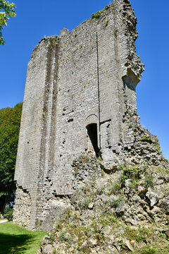Domfront Castle (French: Ch&acirc;teau Domfront) Tall Freestanding Wall Ruin Detail, Portrait